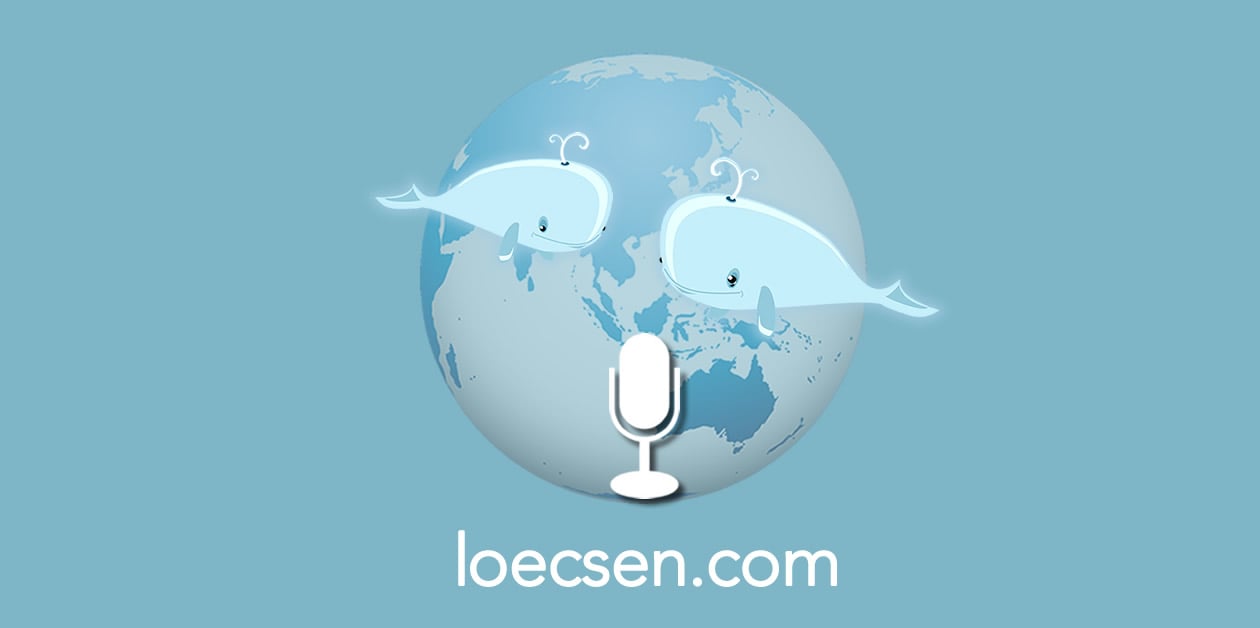 (c) Loecsen.com
